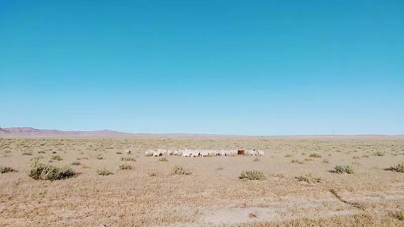 巴彦淖尔，梦想之地的蜕变之旅纪实